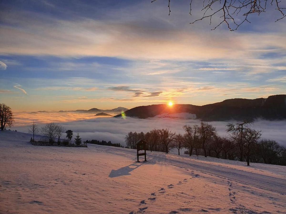 Mitterhirschberg, Familie Schweighuber Apartment ไวด์โฮเฟิน อัน แดร์อิบส์ ภายนอก รูปภาพ