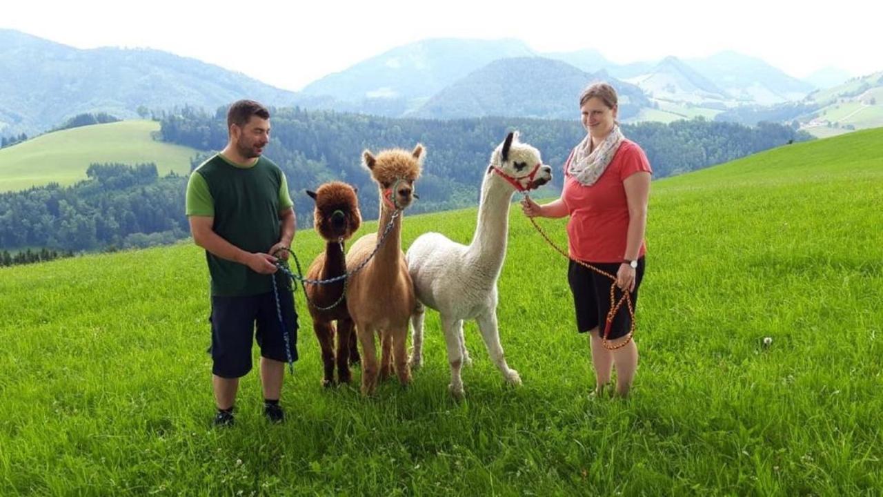 Mitterhirschberg, Familie Schweighuber Apartment ไวด์โฮเฟิน อัน แดร์อิบส์ ภายนอก รูปภาพ
