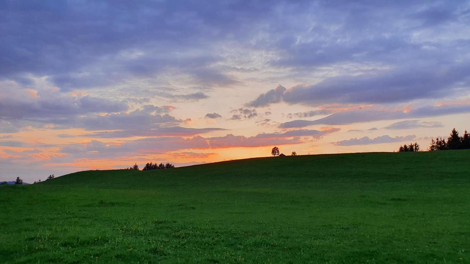 Mitterhirschberg, Familie Schweighuber Apartment ไวด์โฮเฟิน อัน แดร์อิบส์ ภายนอก รูปภาพ