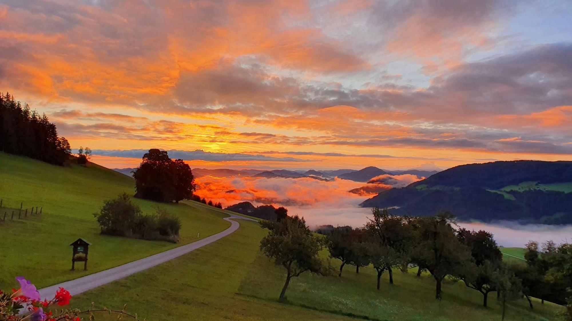 Mitterhirschberg, Familie Schweighuber Apartment ไวด์โฮเฟิน อัน แดร์อิบส์ ภายนอก รูปภาพ