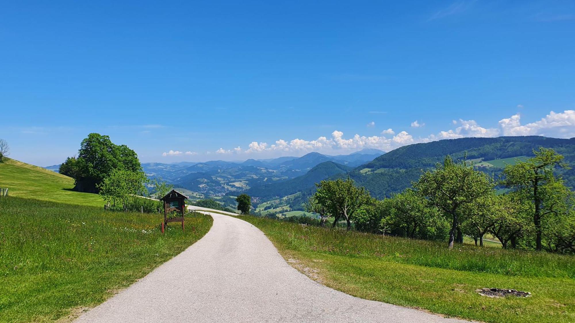 Mitterhirschberg, Familie Schweighuber Apartment ไวด์โฮเฟิน อัน แดร์อิบส์ ภายนอก รูปภาพ