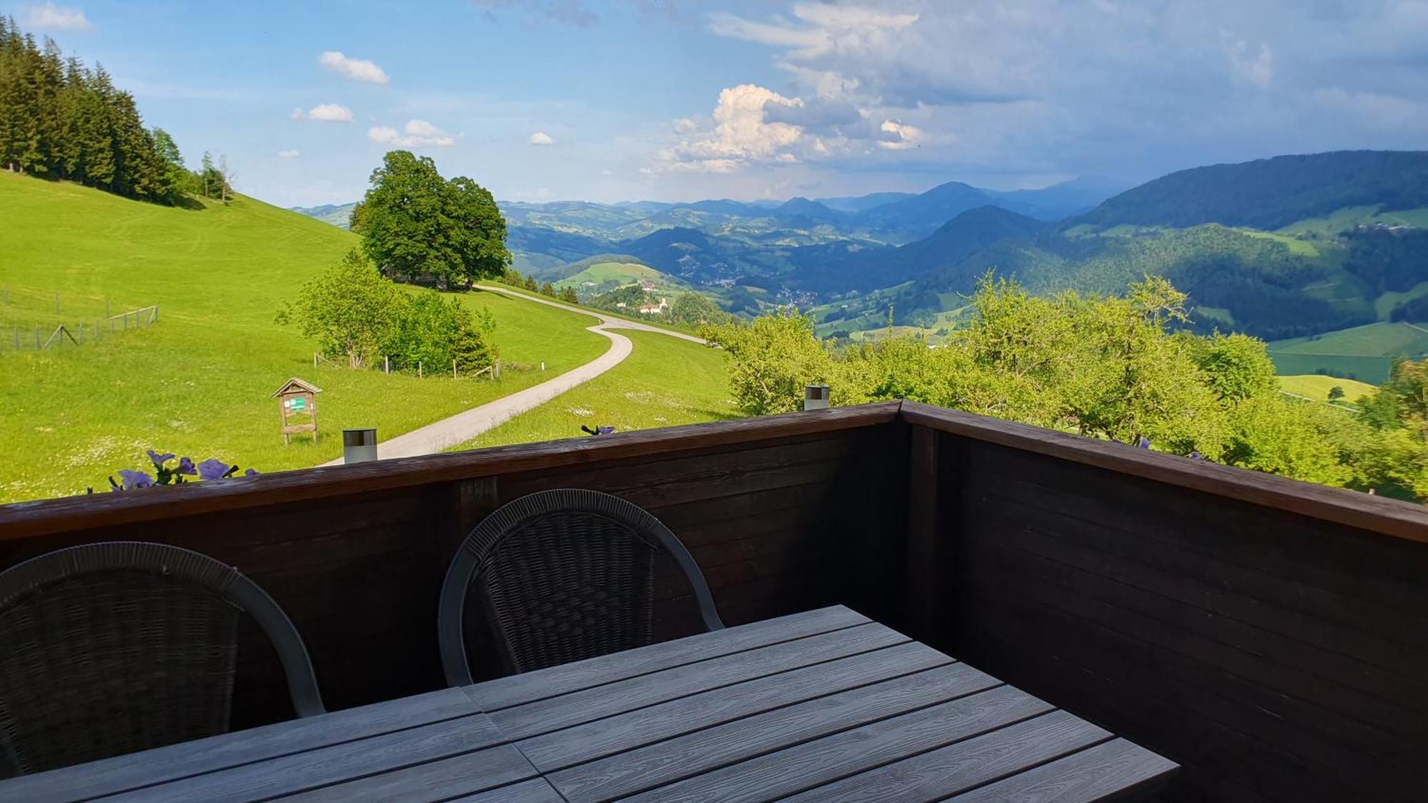 Mitterhirschberg, Familie Schweighuber Apartment ไวด์โฮเฟิน อัน แดร์อิบส์ ภายนอก รูปภาพ